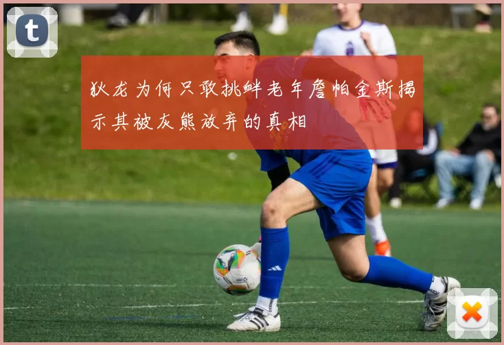 狄龙为何只敢挑衅老年詹帕金斯揭示其被灰熊放弃的真相
